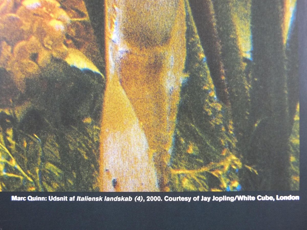 2004 Marc Quinn Poster, Flowers as an Image, Detail of Italian Landscape 2000, Garden, Louisiana Museum of Modern Art retro wall art decor