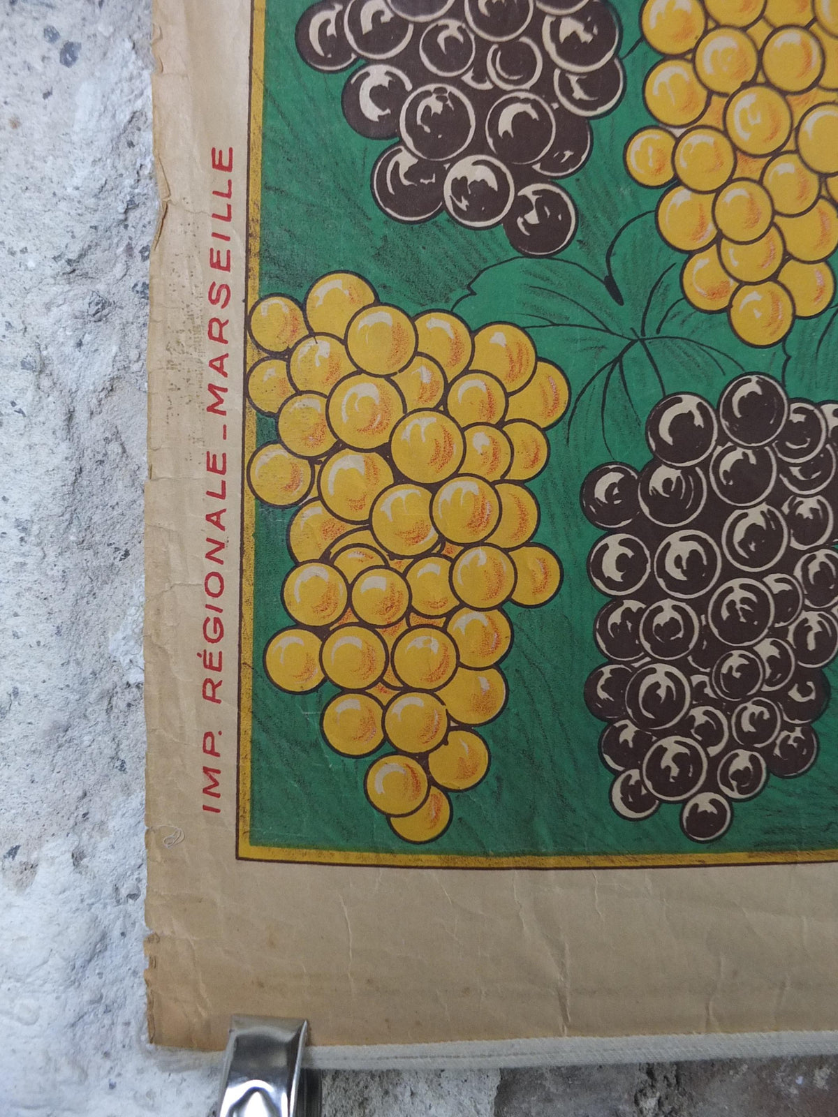 Original 1920s French Grape Harvest Poster – Belleudy Marseille